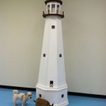 Dogs_Lighthouse